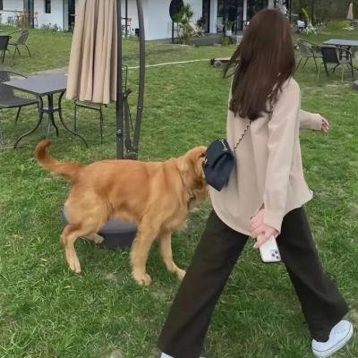 家族的旅途