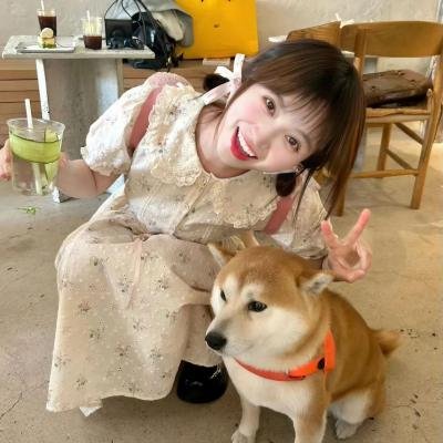 二狗返乡记